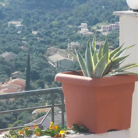 Sarakinos