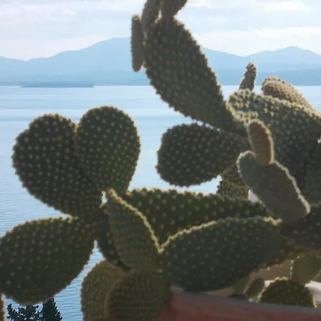 Sarakinos برباتي