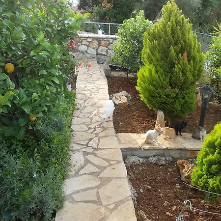 Sarakinos Apartman *
