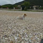 Sarakinos * Barbati