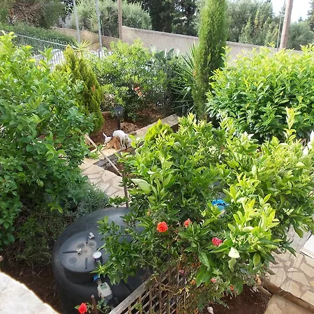 Apartment Sarakinos Barbati